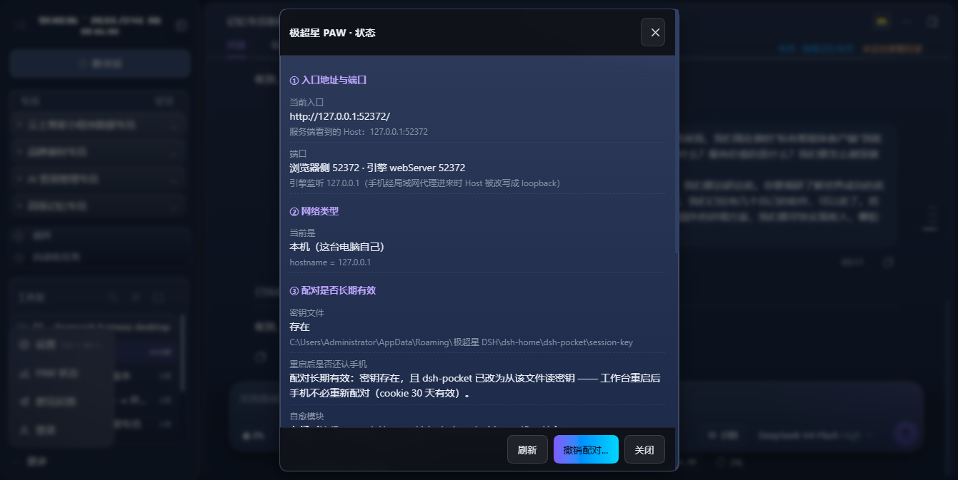 极超星 DSH 界面（真实截图）